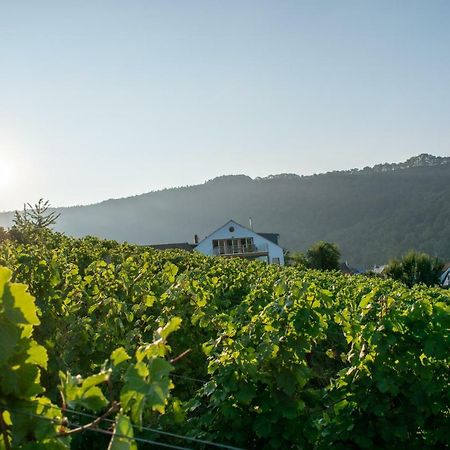 Weingut Johanneshof Minheim Kültér fotó