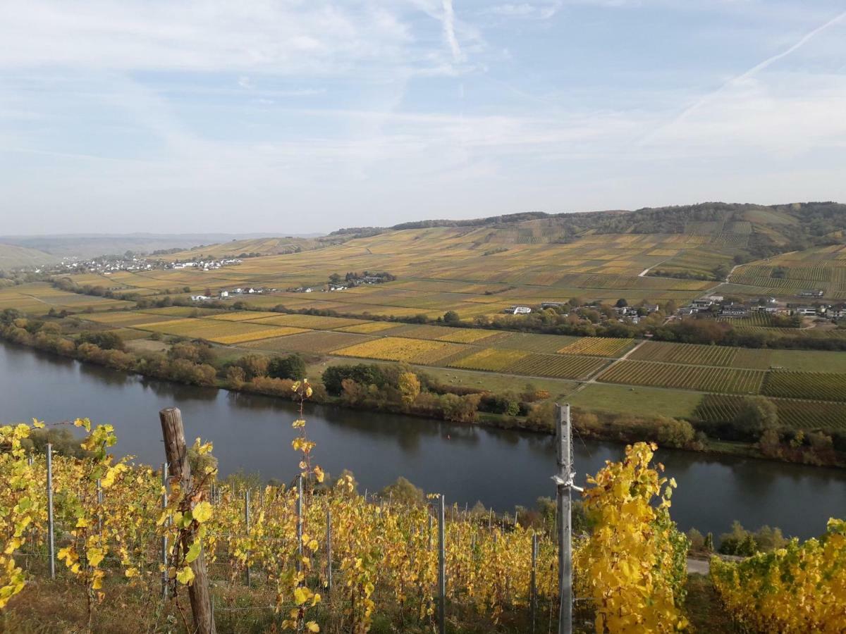 Weingut Johanneshof Minheim Kültér fotó