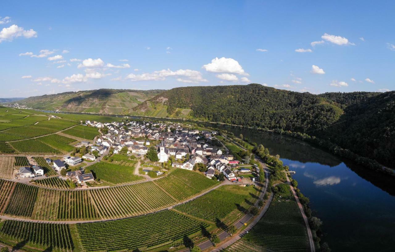 Weingut Johanneshof Minheim Kültér fotó